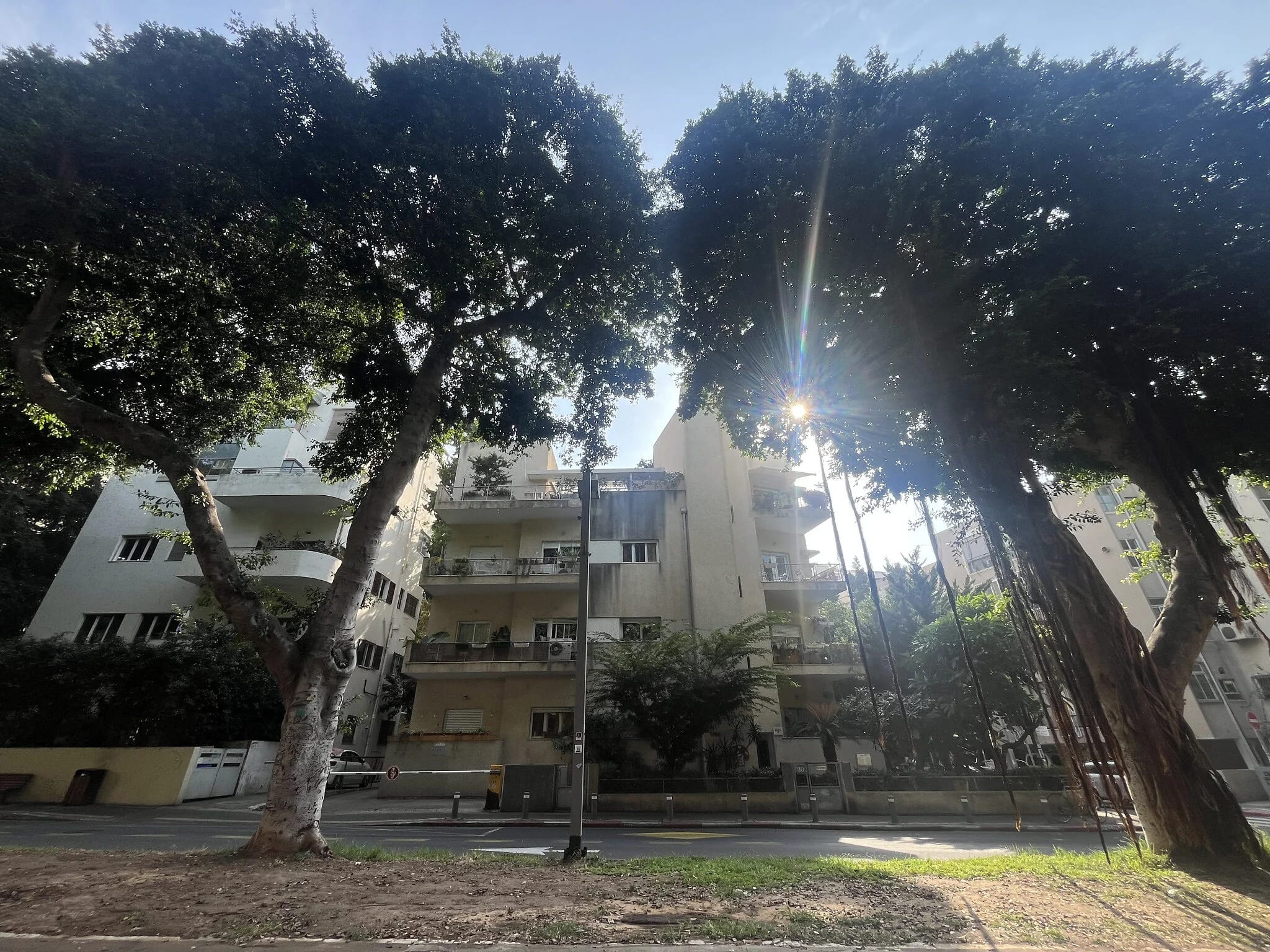 Between Homes: Roots without Borders