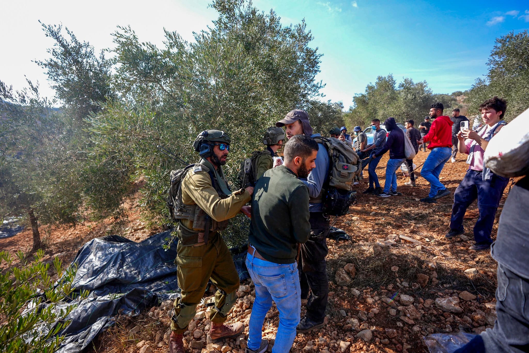 Katz reportedly seeking to ban pro-Palestinian activists from West Bank during olive harvest
