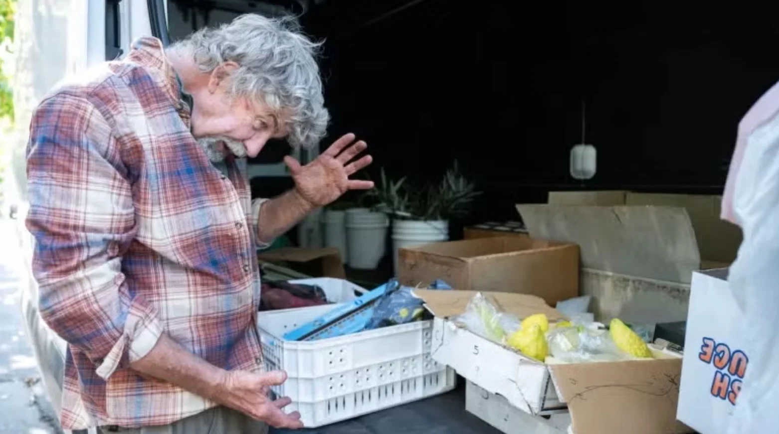 America’s only major etrog grower is in survival mode as global competition heats up