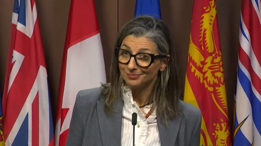 UN Rapporteur’s Claim That Jews Were Called ‘Muslims’ in Nazi Camps Draws Scrutiny