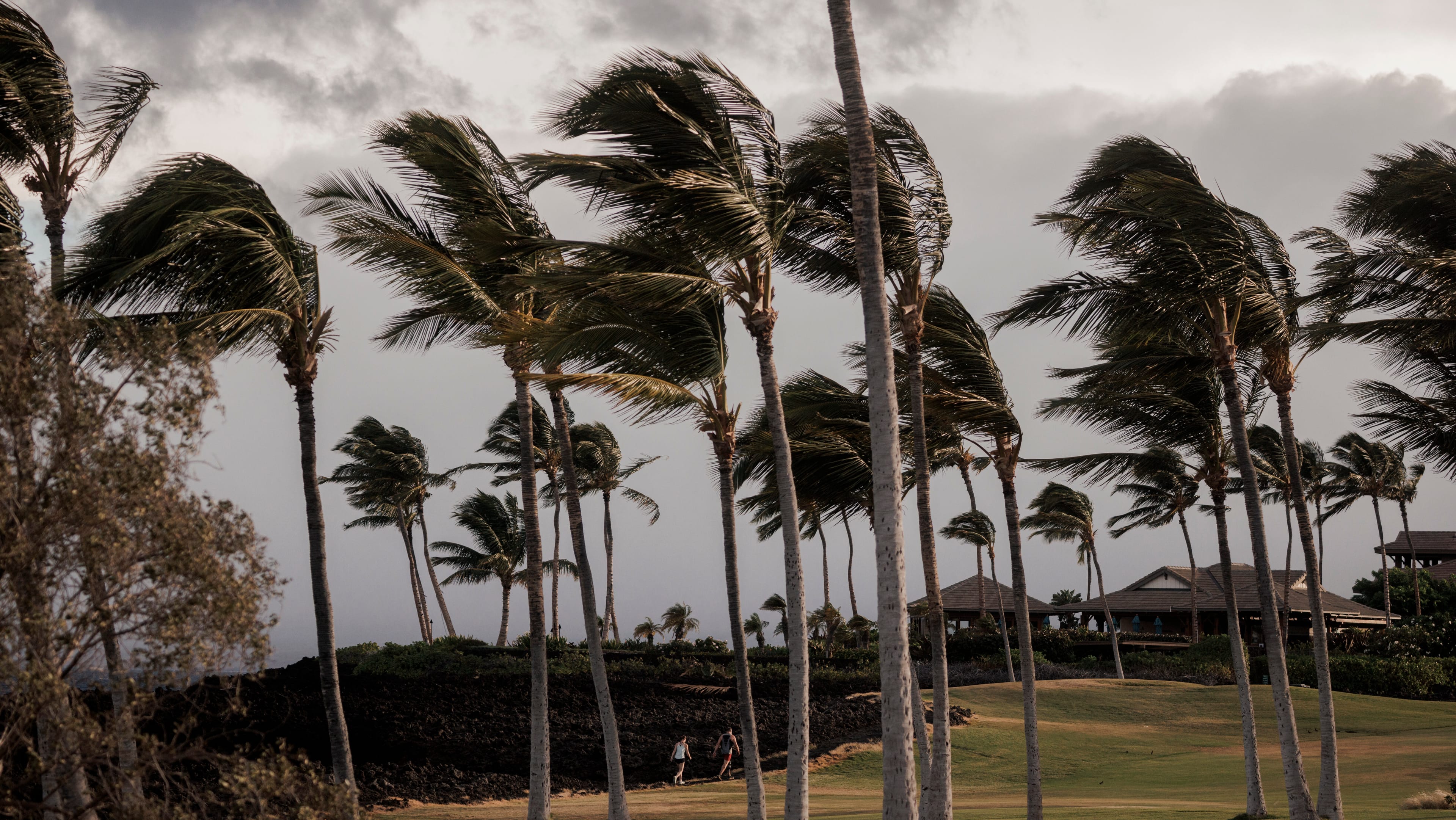 Hurricane Lala Leaves One Dead, 60,000 Without Power in Hawaii