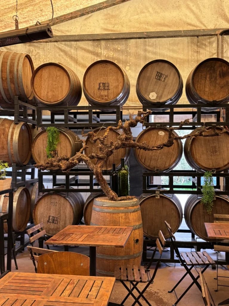Jezreel Valley Wins International Award for Resilient Wine Tourism