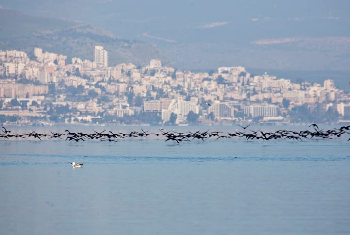 הגשמים חזרו, המים לא: השיא השלילי של הכנרת