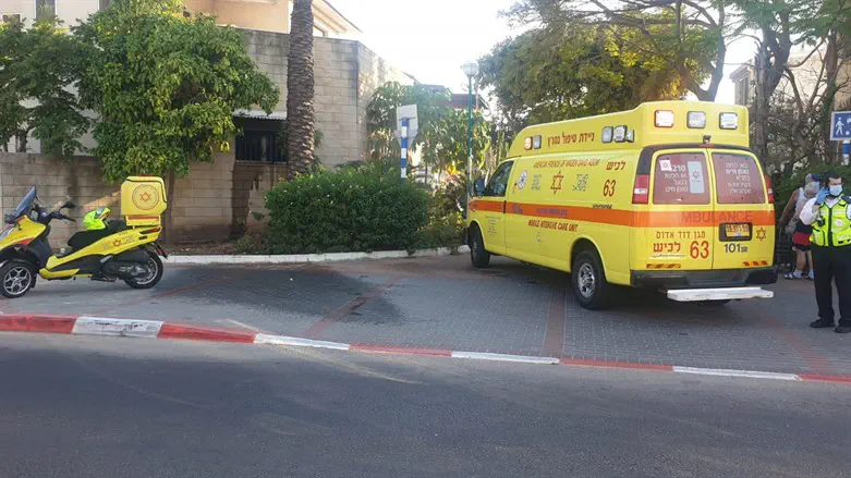 חשד לרצח בחיפה: אישה נדקרה, בן זוגה נעצר