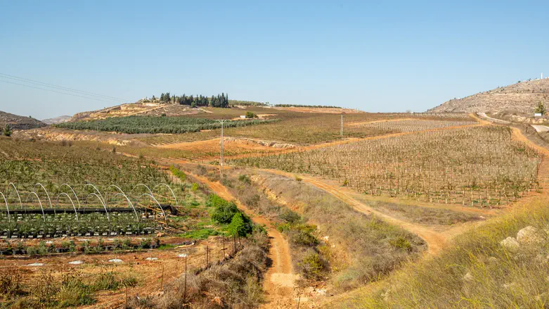 פרסום ראשון | תחום השיפוט של גבעת הראל אושר באופן רשמי