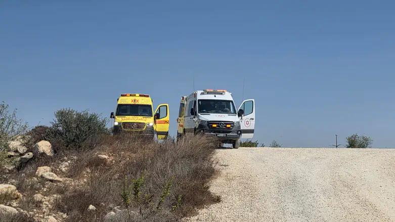 פצוע בינוני-קשה בפיגוע דקירה בחוות מעוז יהודה בשומרון
