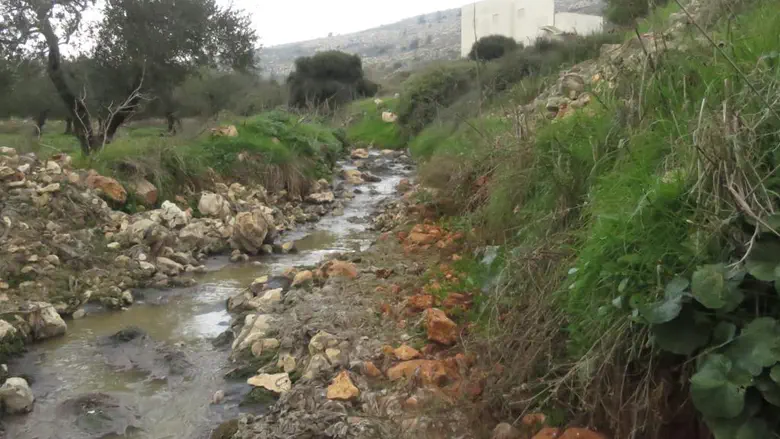 הביוב מהרשות הפלסטינית שעלול לפגוע בישראל