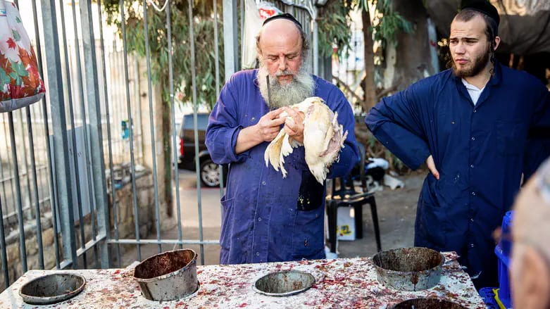 בד"ץ אגודת ישראל נגד עוקץ עופות הכפרות