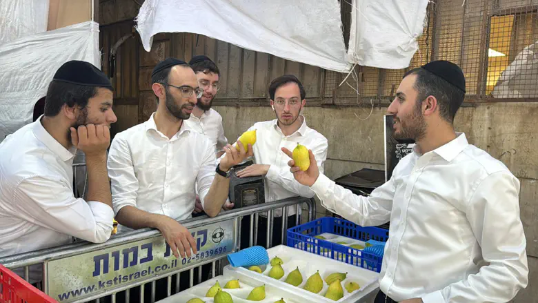 אתרוג ביותר מאלף שקל ושיר של אהרן רזאל: ערב סוכות בשוק ארבעת המינים