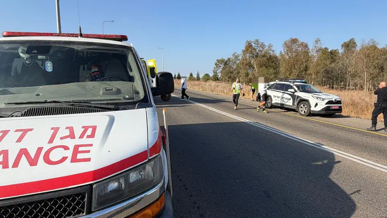המשטרה: הנהג שפגע למוות בטל גלבוע נהג תחת השפעת אלכוהול