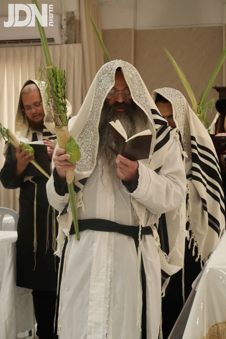 הושענא רבא בחצה"ק סטערליסק
