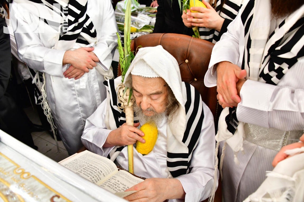 הושענא רבא ושמחת תורה במחיצת הגרי"מ שכטר