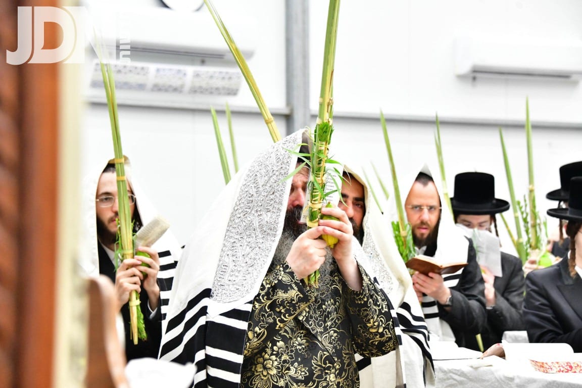 הושענא רבא בחצה"ק זוטשקא