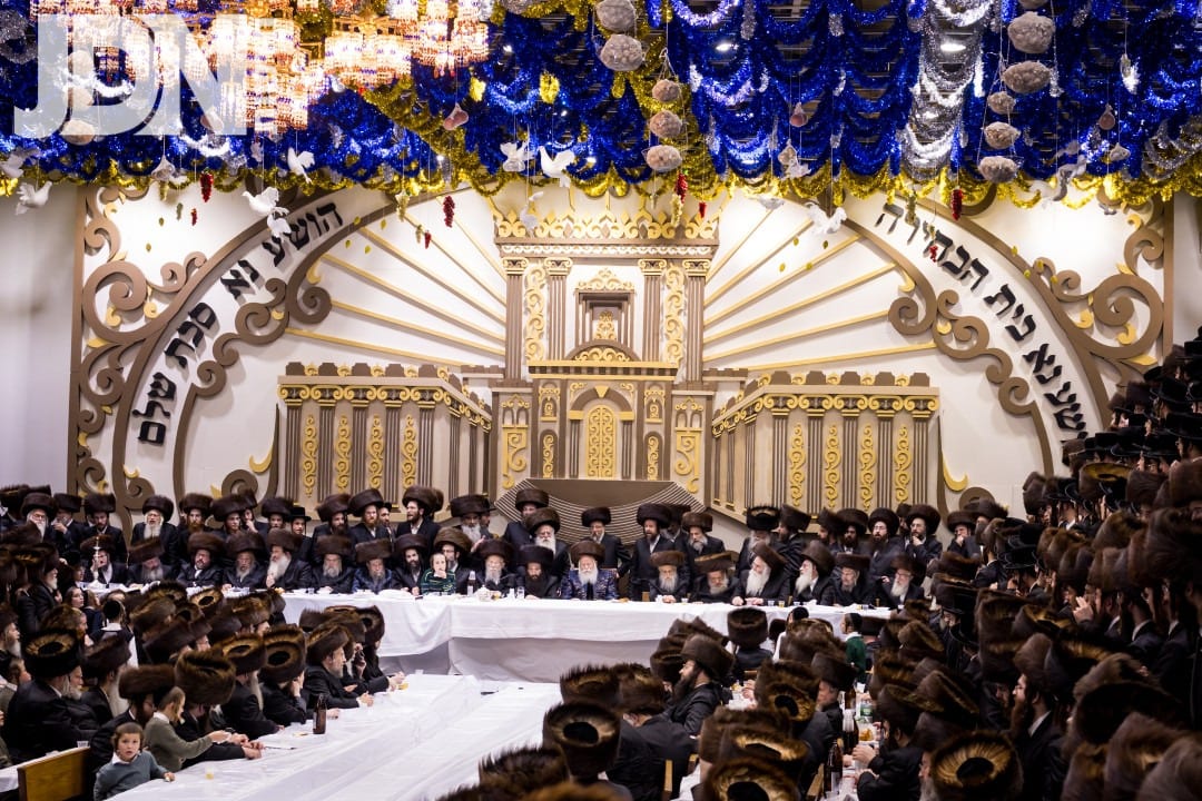 חג הסוכות בחצה"ק באבוב • גלריה