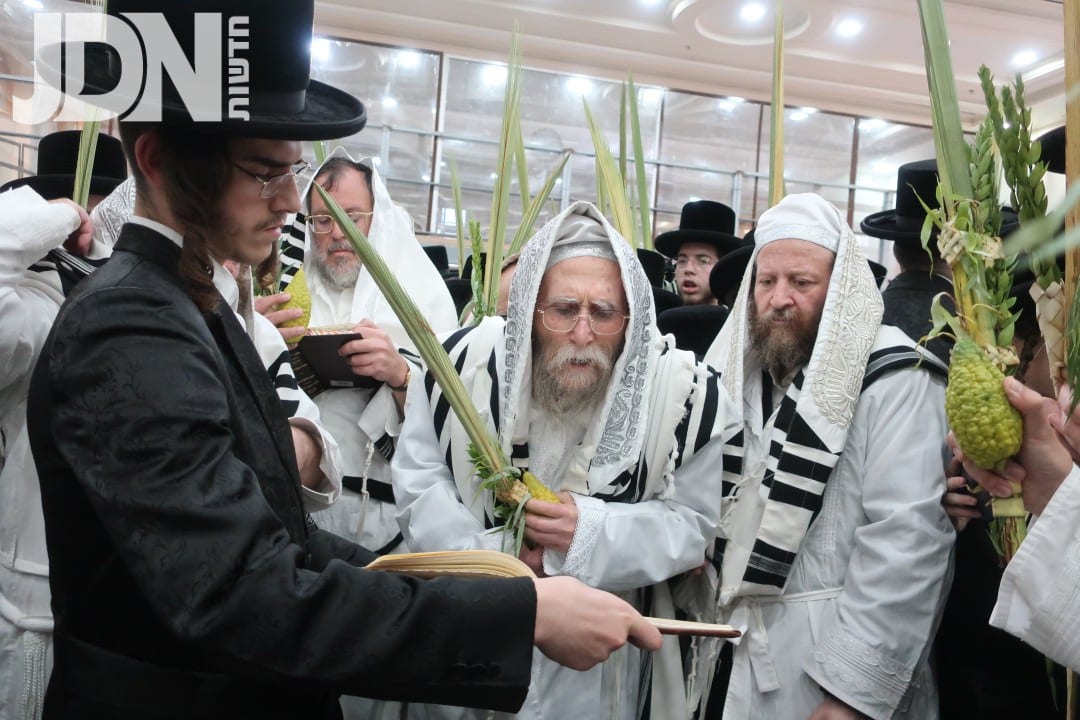 מראות מחג הסוכות בחצה"ק ערלוי