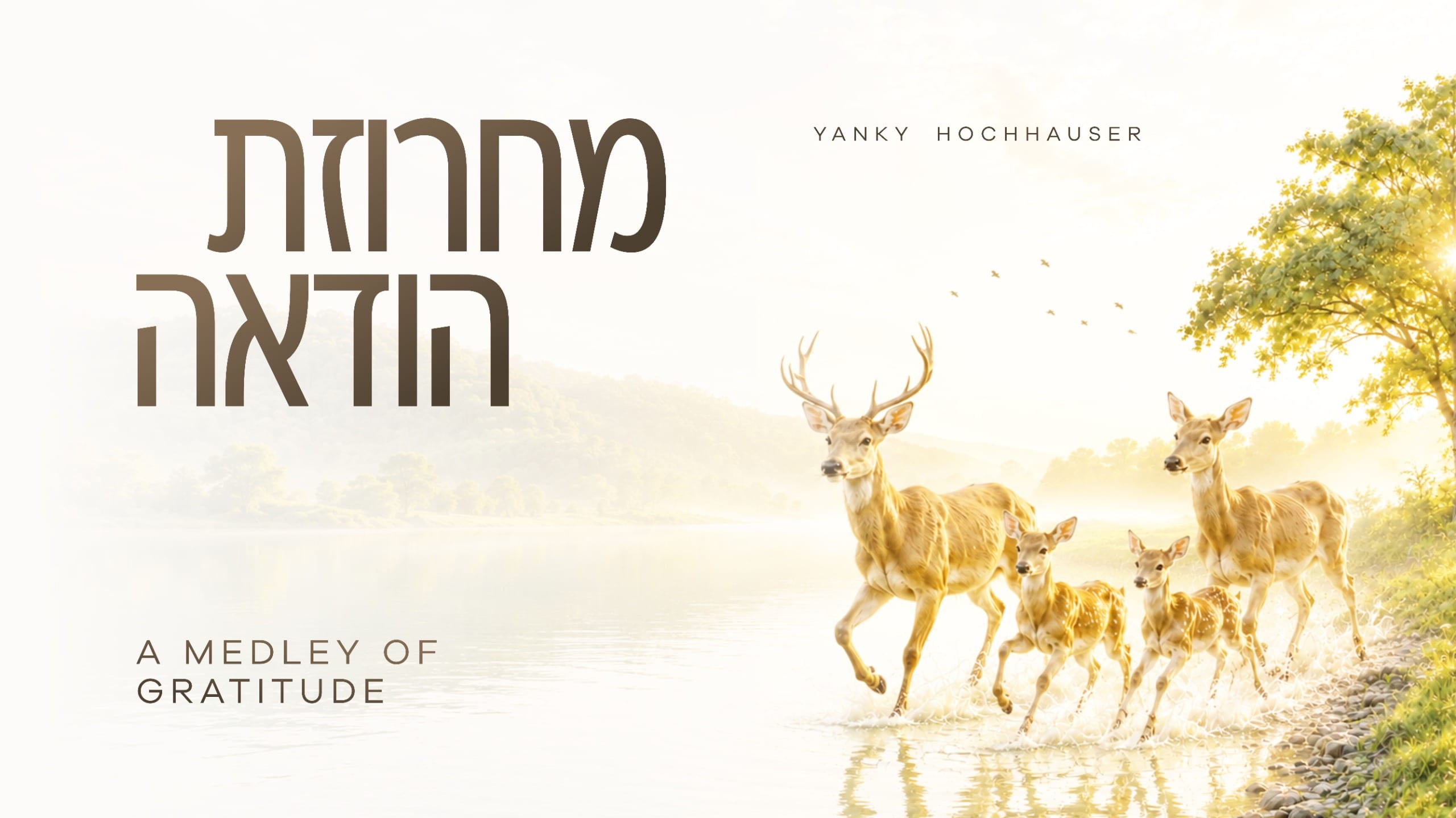 טוב להודות: יענקי הוכהייזר אומר תודה עם "מחרוזת הודאה"