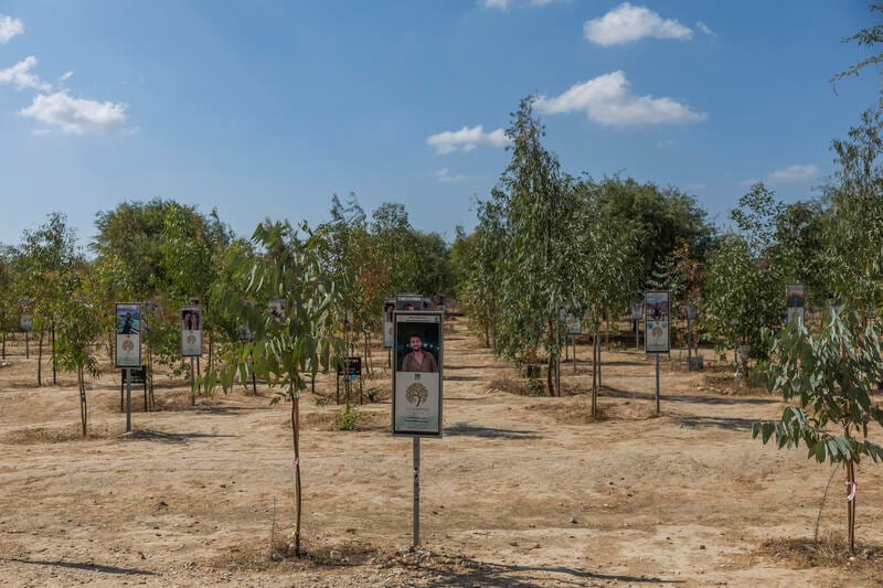 שבע שנות מאסר: עונשים כבדים גזרו בתי המשפט על גונבי ציוד ההגברה מזירת הנובה