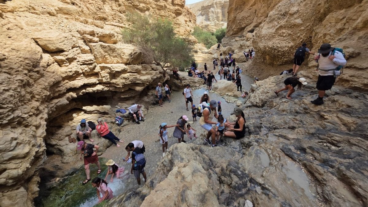 לא עין גדי ולא קיסריה: זה הגן הלאומי הכי עמוס בסוכות