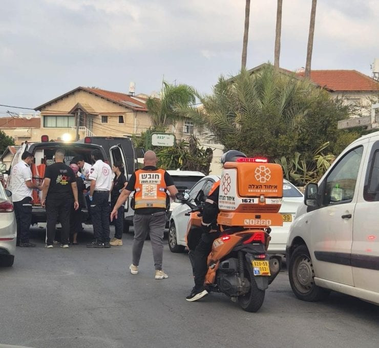 אשקלון: ילד בן 7 ננשך על ידי כלב - ונפצע