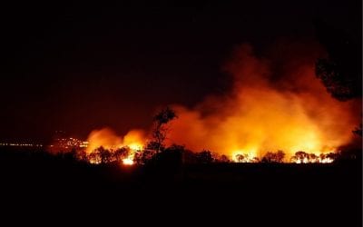 Штат Вашингтон в огне: пожары уничтожают дома, идет эвакуация