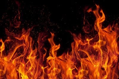 Какой будет жизнь на Земле в 2100 году - ученые шокировали прогнозом