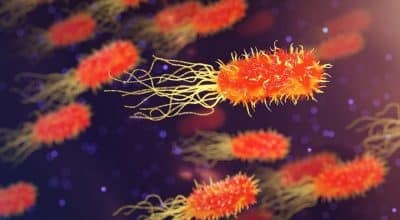 Угроза для Израиля: бактерия из моря может убить за считаные дни