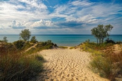 Крошечная группа змей покорила целый остров