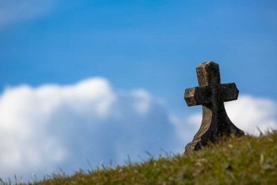 Как могила превратилась в сад: невероятная история спасения ребенка