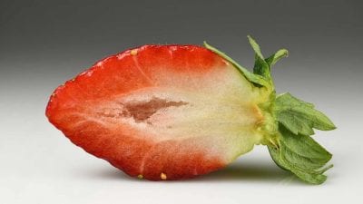 Лайфхак, после которого вы перестанете покупать клубнику в магазинах