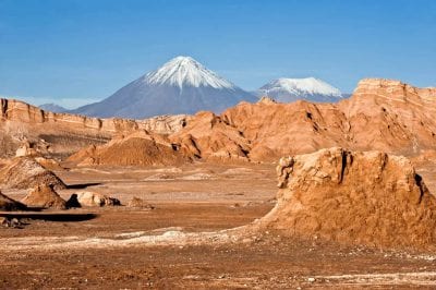 Секрет Атакамы – как не погибает жизнь в самом сухом месте планеты