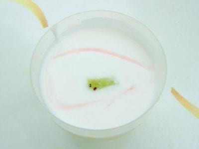 Пять продуктов, которые зря считаются полезными