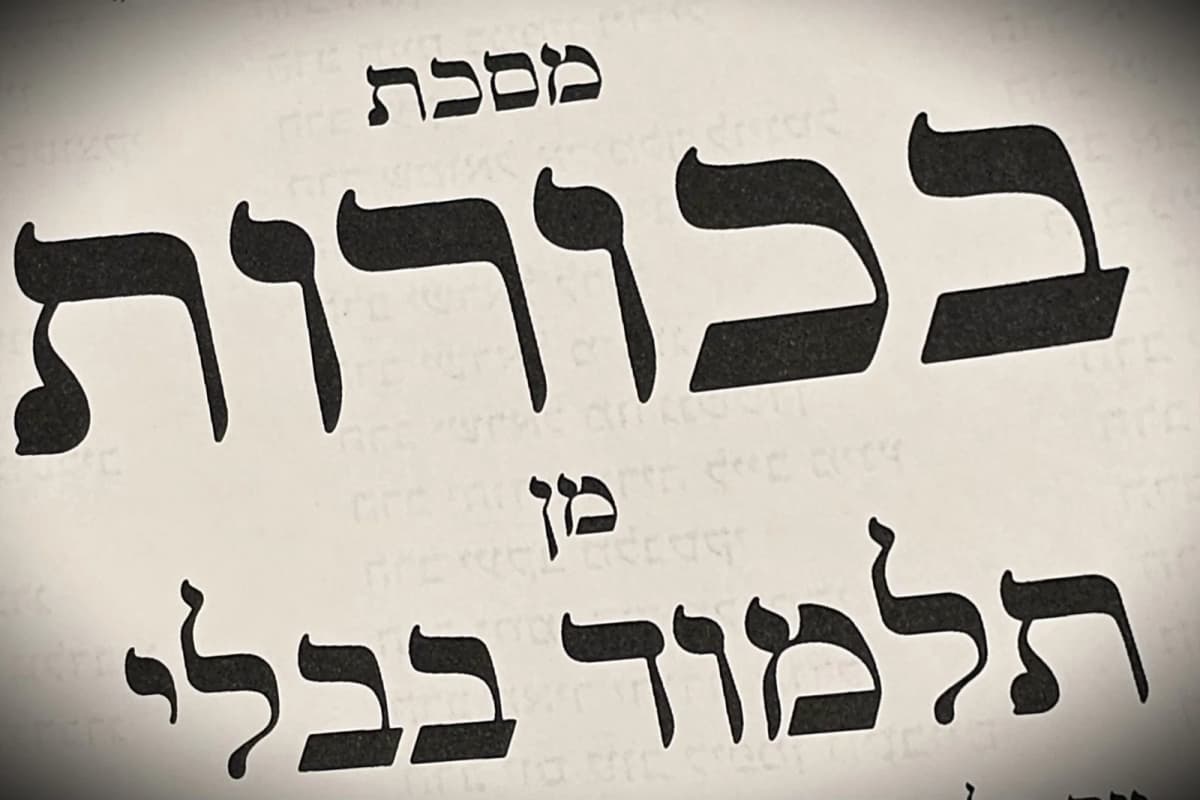 הדף היומי: מס' בכורות דפים כ"ח-כ"ט יום שישי ה' בחשוון