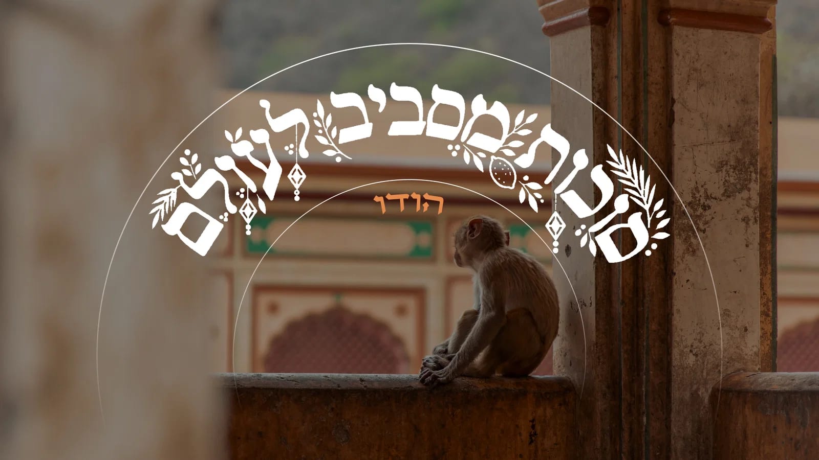הסוכה הכי מבודדת בעולם • הרב שכמעט הפך ל"נזיר בודהיסטי" בריאיון חג מהרי ההימלאיה | צפו