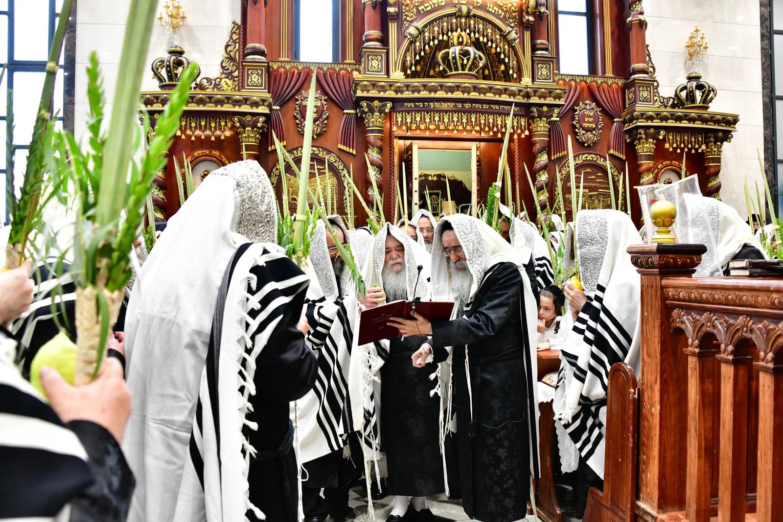 חידוש בחסידות; כך נשמעה עבודת הקודש של האדמו"ר בהקפות ובהלל