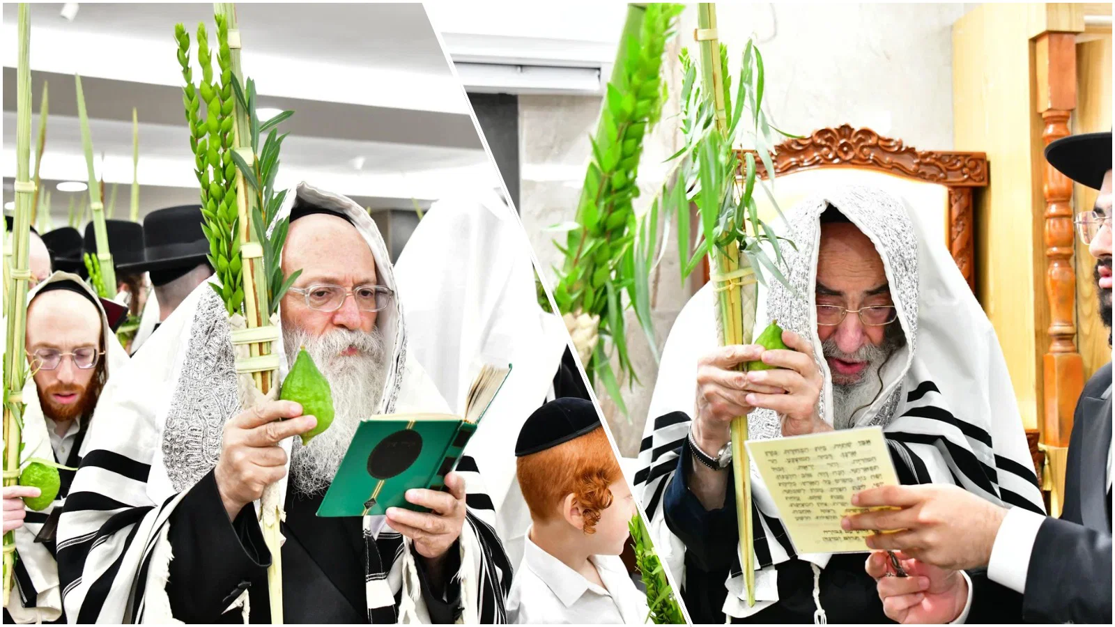 בבית המדרש הזמני; האדמו"ר מאלכסנדר וזקן המשפיעים החסידים בנענועים