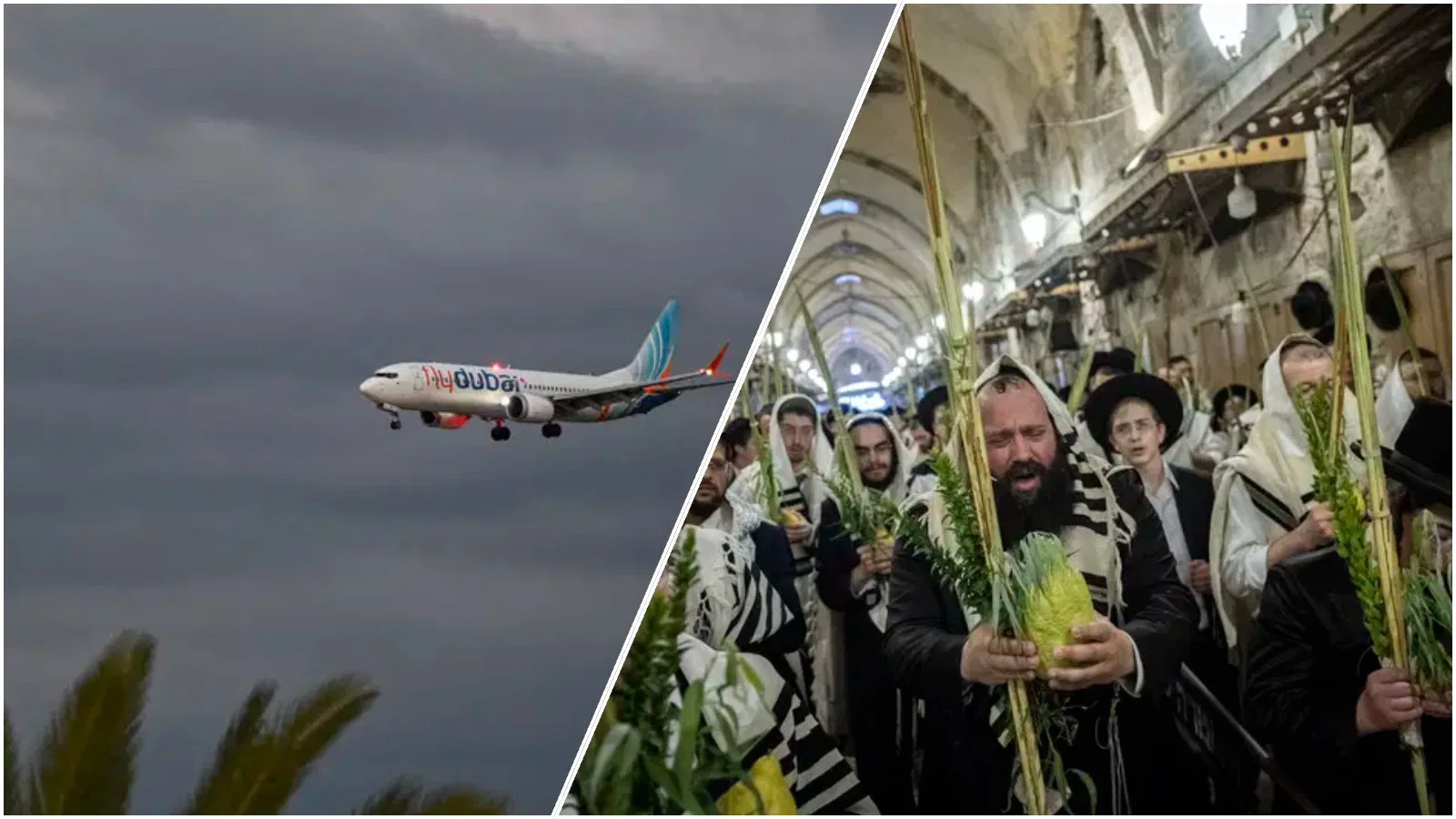 הנענועים של הלולב שהחזיקו את המטוס בשמיים: הרהורים והודיה על הנס הגדול