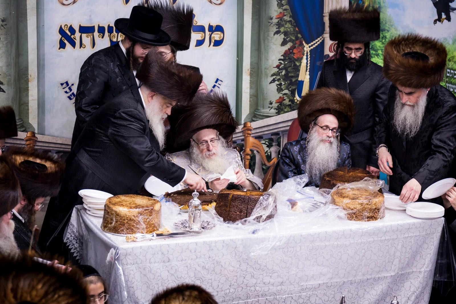 הקוגלים כוּסו מפני הגשם | סיכום ימי החג בצאנז קלויזנבורג