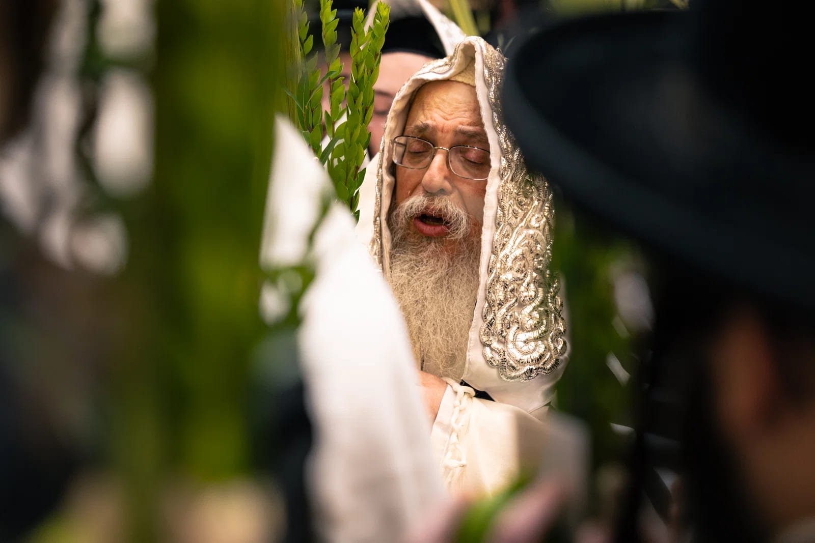 תפילות בטאהש; האדמו"ר השוהה בפלורידה יכנס היום לניתוח בעיניו