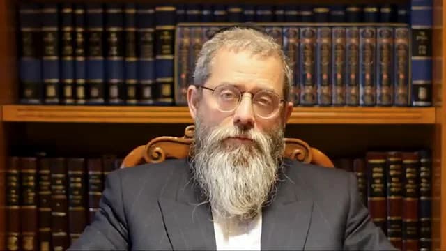 סוד פרשת נח לאור החסידות: כך תהפכו את הצרה שלכם לצוהר