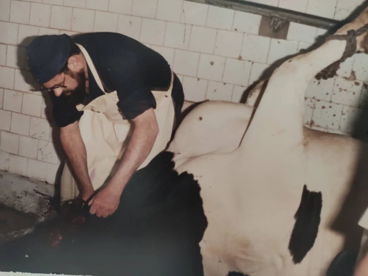 346 נבחנו, 82 אושרו: המהלך שיוזיל את מחירי הבשר