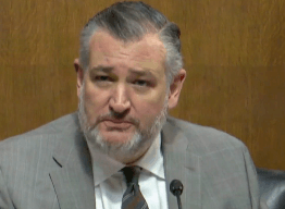 Senate Hearing Scrutinizes El-Sayed Ties to CAIR, Muslim Brotherhood | WATCH