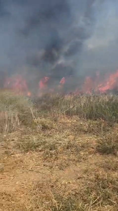 Four Firefighting Aircraft Deployed to Blaze Near Argaman Settlement