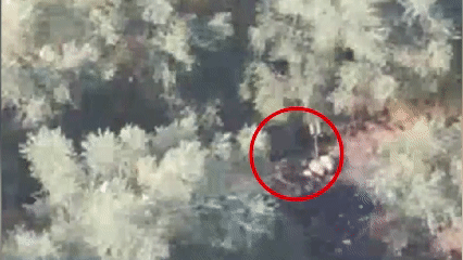 IDF Eliminates Senior Hezbollah Commander Following Drone Attack on Israeli Troops