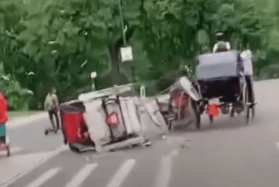 Family Files $105 Million Lawsuit Over Fatal Central Park Horse Carriage Accident