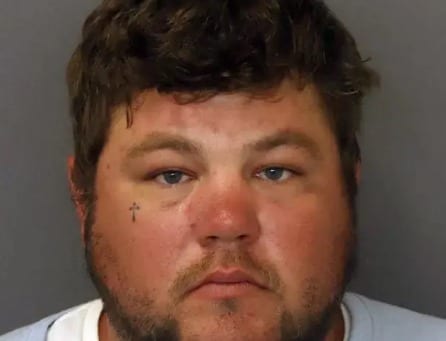 Tree Trimmer Charged After Fatal Accident in Minnesota