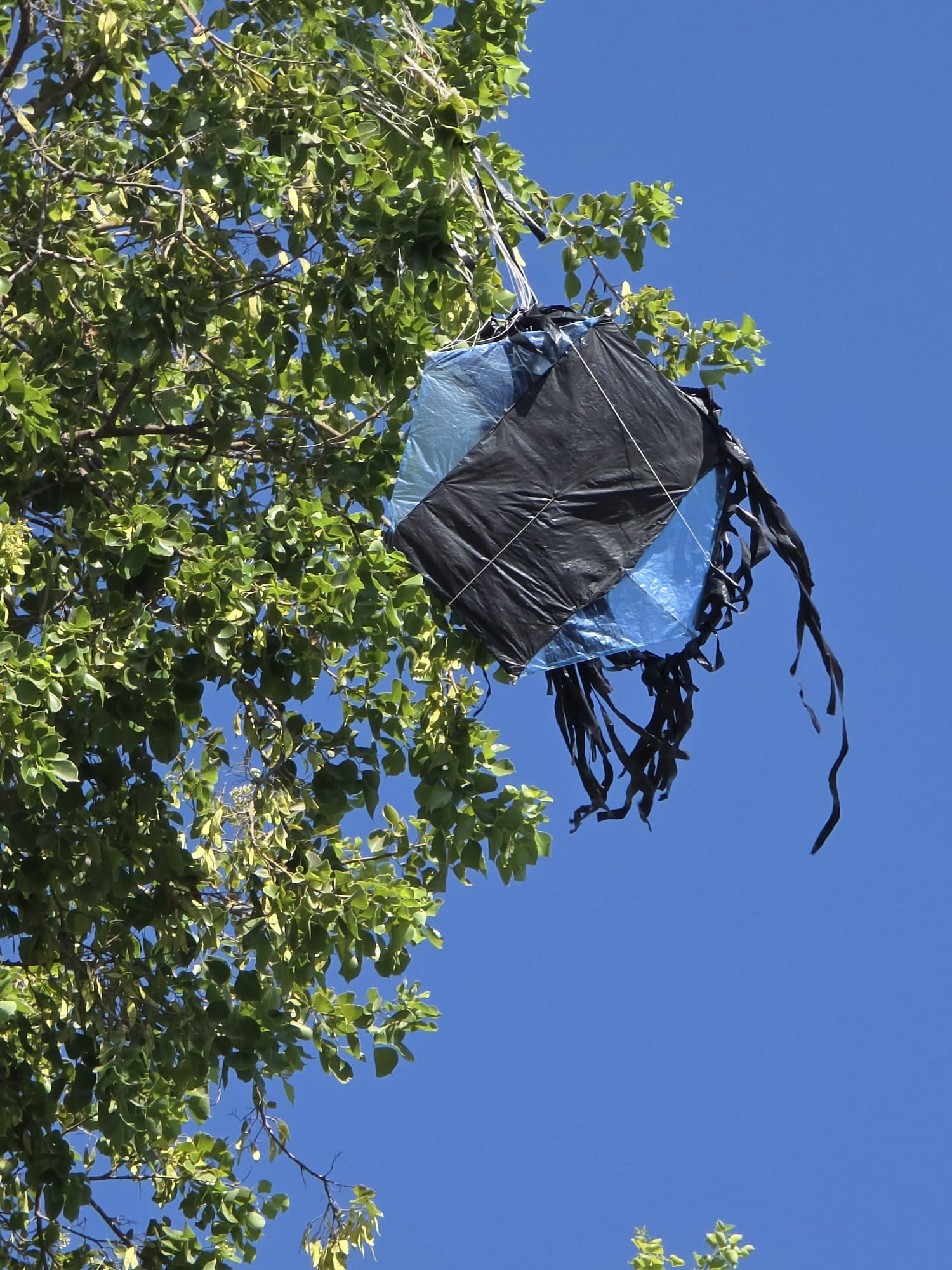 Second Kite Found in Nahal Oz as Regional Council Head Warns of Pattern