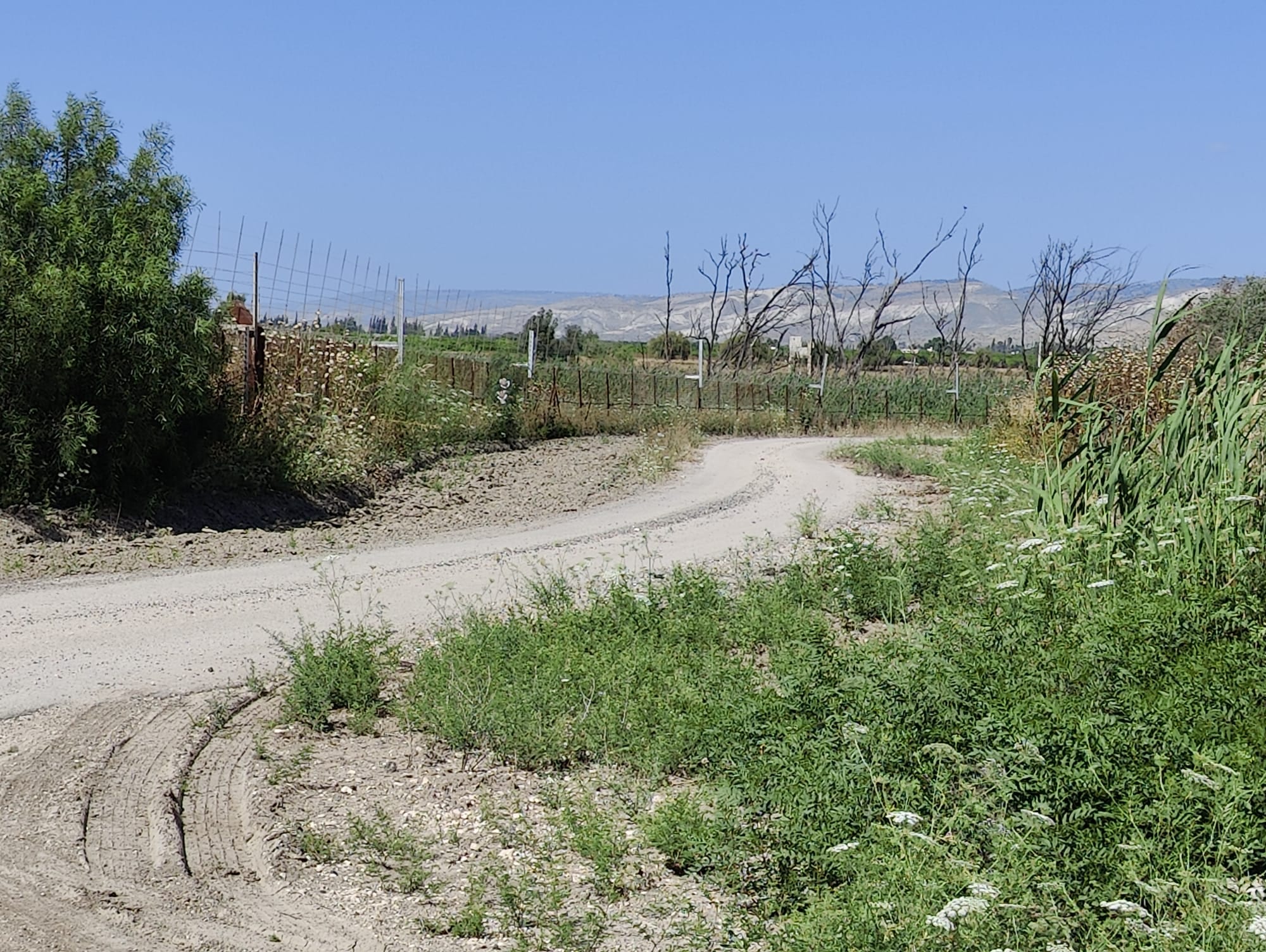 Smuggling Operation Foiled at Jordan Border