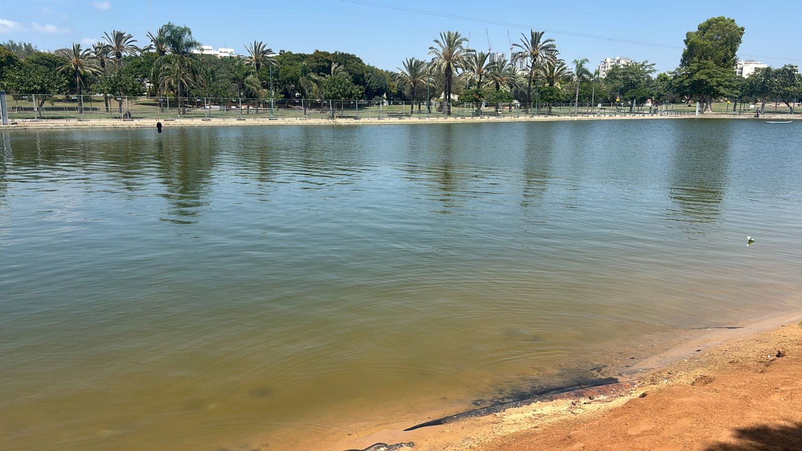 Six-Year-Old Rescued from Tel Aviv Lake by Civilian After Submersion