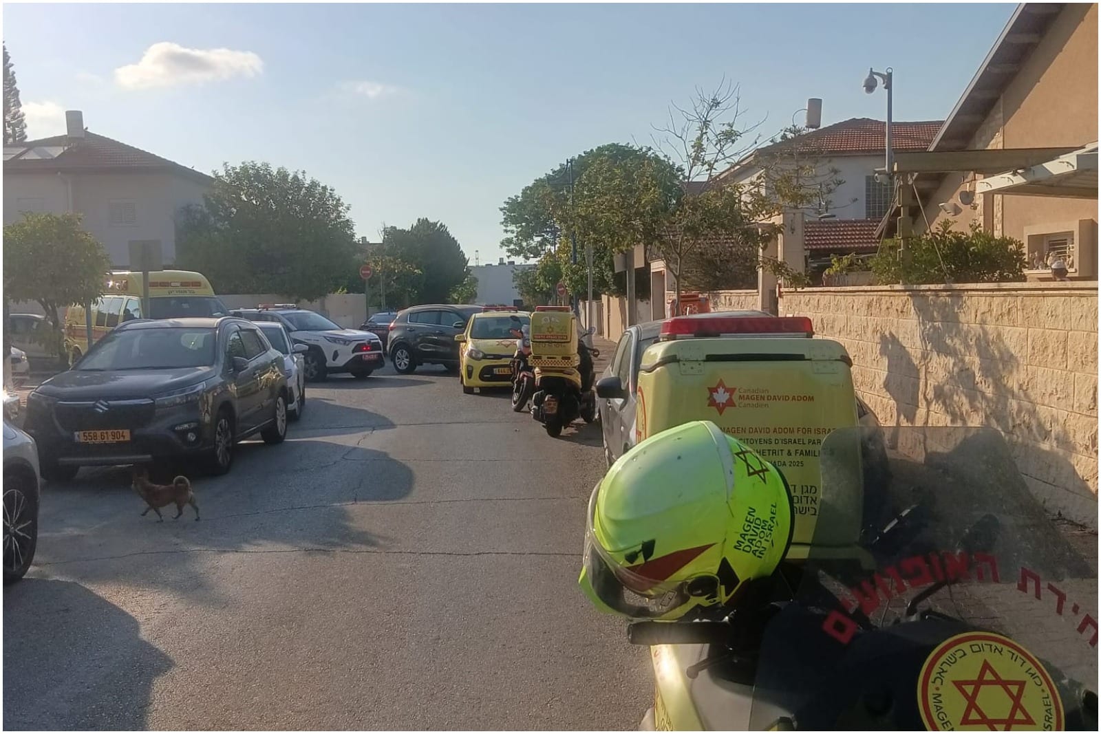 Man in His 70s Found Fatally Stabbed in Yavne Home