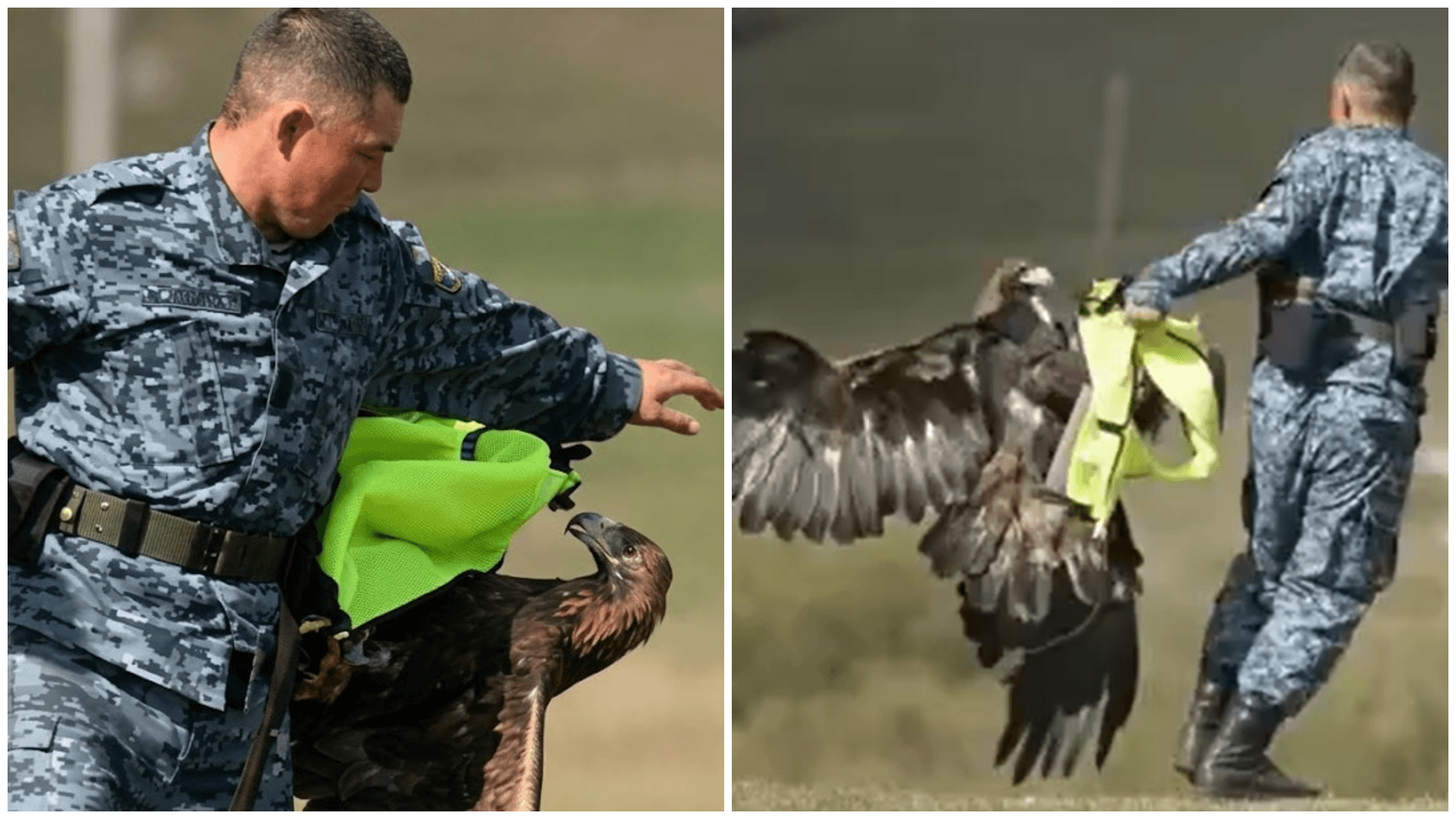 Golden Eagle Attacks Police Officer at World Nomad Games in Kyrgyzstan